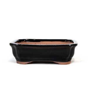 6" Rectangle Pot Black, Black Ceramic Bonsai Pot, Compact Bonsai Planter, Yixing Ceramic Pot, Sleek Black Bonsai Container, Durable Ceramic Pot, Modern Bonsai Pot, High-Quality Black Pot, Bonsai Pot with Drainage Hole, Stylish Black Ceramic Planter, Handcrafted Rectangle Bonsai Pot