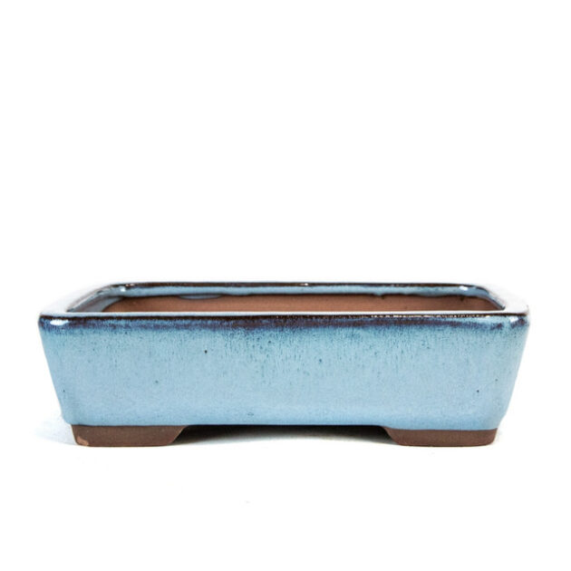 Discover elegance with our 8" Tapered Rectangle Pot in Light Blue. Ideal for bonsai and plants, crafted for style and durability in your garden or home.