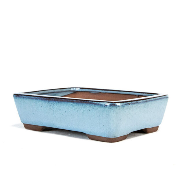 Discover elegance with our 8" Tapered Rectangle Pot in Light Blue. Ideal for bonsai and plants, crafted for style and durability in your garden or home.