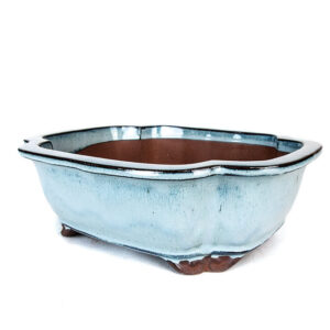 12" Lotus Pot Light Blue, Light Blue Ceramic Bonsai Pot, Custom Bonsai Planter, Yixing Ceramic Pot, Elegant Lotus Pot, High-Quality Bonsai Container, Durable Light Blue Pot, Lotus Shape Bonsai Planter, Ceramic Bonsai Pot with Drainage Hole, Premium Ceramic Bonsai Pot, Stylish Bonsai Pot, Handcrafted Lotus Pot