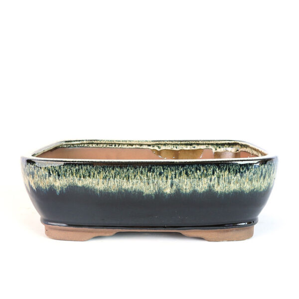 12" Rounded Rectangle Pot, Midnight Ombre, Custom Bonsai Planter, Ombre Ceramic Pot, Stylish Bonsai Container, High-Quality Ceramic Bonsai Pot, Midnight Ombre Bonsai Pot, Rounded Rectangle Bonsai Pot, Durable Bonsai Planter, Unique Bonsai Pot, Ceramic Bonsai Container, Handcrafted Ombre Pot, Premium Bonsai Pot, Elegant Bonsai Planter