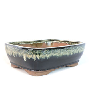 12" Rounded Rectangle Pot, Midnight Ombre, Custom Bonsai Planter, Ombre Ceramic Pot, Stylish Bonsai Container, High-Quality Ceramic Bonsai Pot, Midnight Ombre Bonsai Pot, Rounded Rectangle Bonsai Pot, Durable Bonsai Planter, Unique Bonsai Pot, Ceramic Bonsai Container, Handcrafted Ombre Pot, Premium Bonsai Pot, Elegant Bonsai Planter